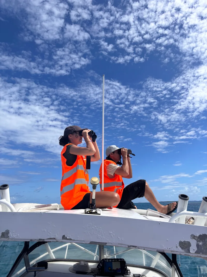 Suivi de biodiversité aux jumelles